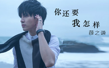 你还要我怎样吉他谱_薛之谦_C调原版弹唱谱