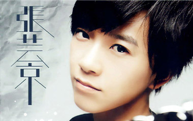 偏爱吉他谱_张芸京_G调简单版弹唱谱