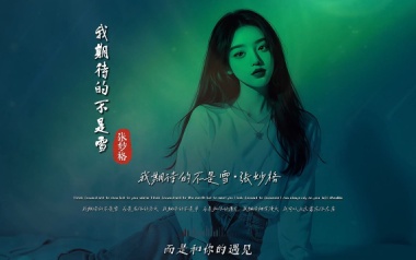 我期待的不是雪吉他谱_张妙格_G调原版弹唱谱