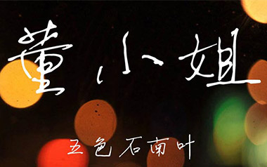 董小姐吉他谱_宋冬野_C调简单版弹唱谱