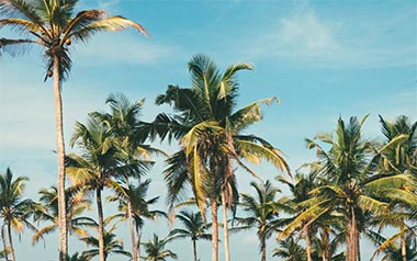 小城夏天吉他谱_LBI比利_G调闷音扫弦版弹唱谱