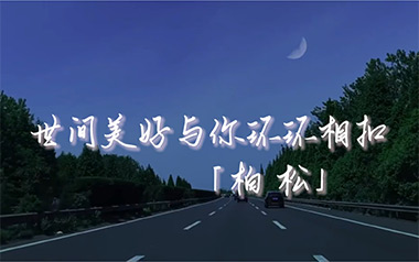 世间美好与你环环相扣吉他谱_C调原版弹唱谱