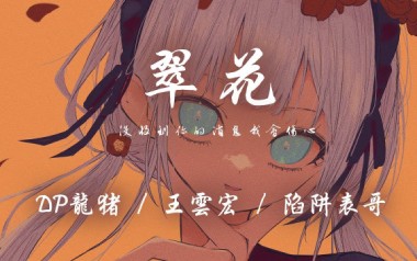 翠花吉他谱_DP龙猪/王云宏/陷阱表哥_G调_吉他弹唱六线谱