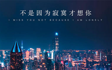 不是因为寂寞才想你吉他谱_王小帅_C调指法