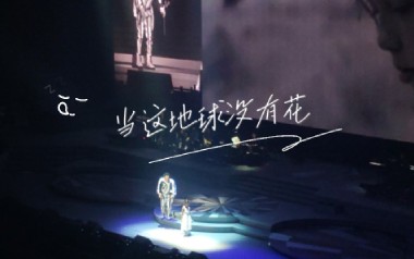 当这地球没有花吉他谱_陈奕迅_C调指法弹唱谱