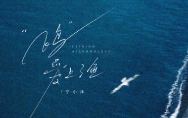 飞鸟爱上了鱼吉他谱_宁小泽_C调原版弹唱谱