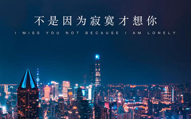 不是因为寂寞才想你吉他谱_王小帅_C调扫弦版