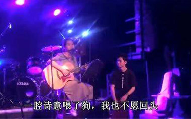 一腔诗意喂了狗吉他谱_花粥_G调简单版