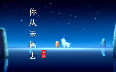 你从未离去吉他谱_白挺_C调简单版