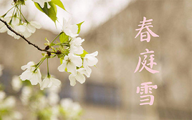 春庭雪吉他谱_橙翼_C调原版编配_弹唱六线谱_古风歌曲