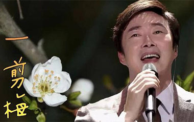 一剪梅吉他谱_费玉清_G调指法原版弹唱谱