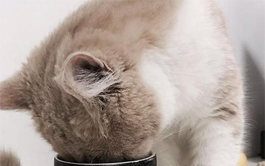 遥不可及的你吉他谱_花粥_C调指法