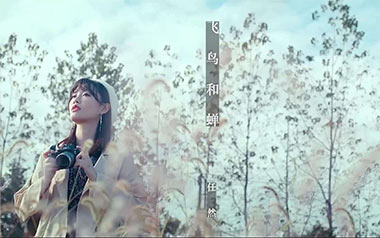 飞鸟和蝉吉他谱_任然_G调指法原版弹唱谱