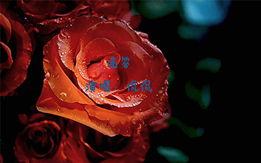 滴答吉他谱_侃侃_C调简单版弹唱谱