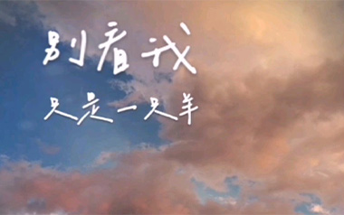 别看我只是一只羊吉他谱_沈以诚_C调指法