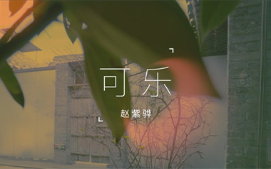 可乐吉他谱_赵紫骅_G调指法原版弹唱谱