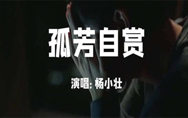 孤芳自赏吉他谱_杨小壮_C调指法原版弹唱谱