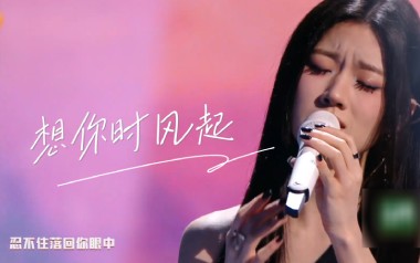 想你时风起吉他谱_单依纯_C调原版弹唱谱