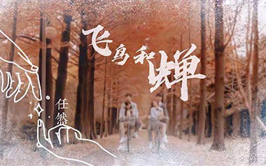 飞鸟和蝉吉他谱_任然_C调简单版