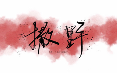 撒野吉他谱_凯瑟喵_C调指法简单版弹唱谱