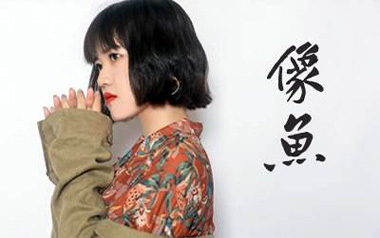 像鱼吉他谱_王贰浪_G调指法原版弹唱谱