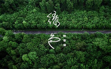 绿色吉他谱_陈雪凝_C调扫弦简单版