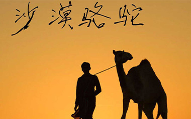 沙漠骆驼吉他谱_展展与罗罗_C调弹唱谱