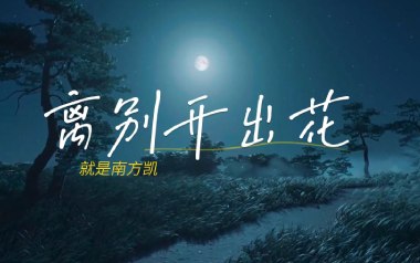 离别开出花吉他谱_就是南方凯_G调指法弹唱谱