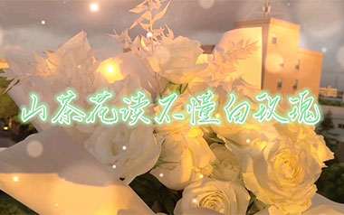 山茶花读不懂白玫瑰吉他谱_柯柯柯啊_C调指法