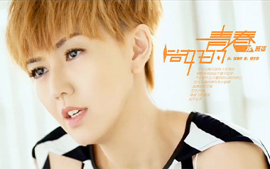 尚好的青春吉他谱_孙燕姿_C调原版弹唱谱