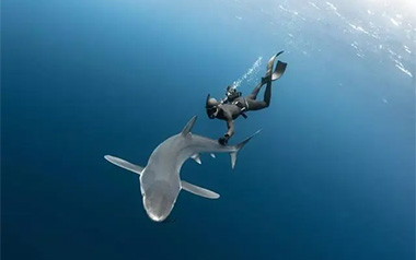 下潜吉他谱_川青/Morerare_C调原版弹唱谱