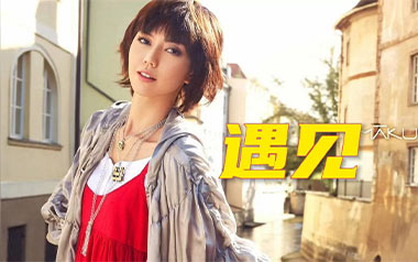 遇见吉他谱_孙燕姿_C调指法男生版弹唱谱