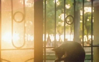 爱在不远处吉他谱_李巍V仔_C调原版弹唱谱