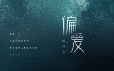 偏爱吉他谱_张芸京_G调指法简单版弹唱谱