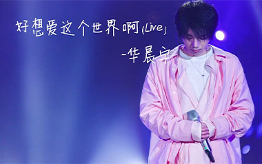 好想爱这个世界啊吉他谱_华晨宇_C调简单版