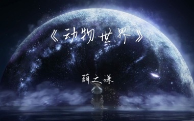 动物世界吉他谱_薛之谦_C调指法原版弹唱谱