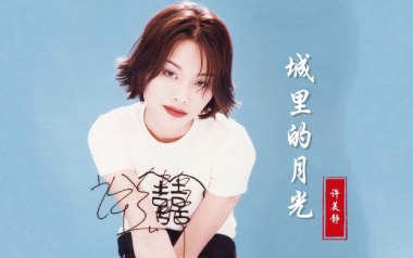 城里的月光吉他谱_许美静_G调指法弹唱谱