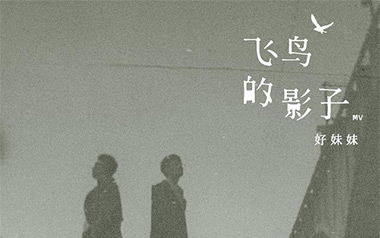 飞鸟的影子吉他谱_好妹妹乐队_G调原版弹唱谱