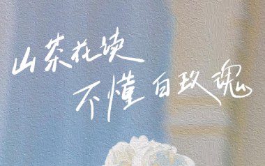 山茶花读不懂白玫瑰吉他谱_Lil_G调原版