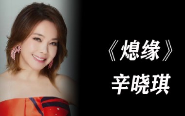 熄缘吉他谱_辛晓琪_C调原版弹唱谱