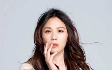 被驯服的象吉他谱_蔡健雅_C调指法弹唱谱