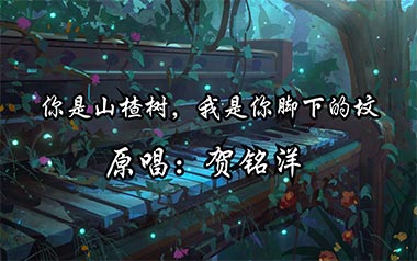 你是山楂树我是你脚下的坟吉他谱_贺铭洋_C调简单版弹唱谱