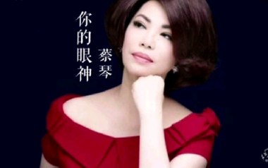 你的眼神吉他谱_蔡琴_C调指法原版弹唱谱