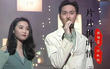 片片枫叶情吉他谱_张智霖/许秋怡_G调原版