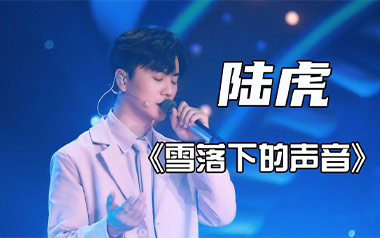 雪落下的声音吉他谱_陆虎_C调简单版弹唱谱