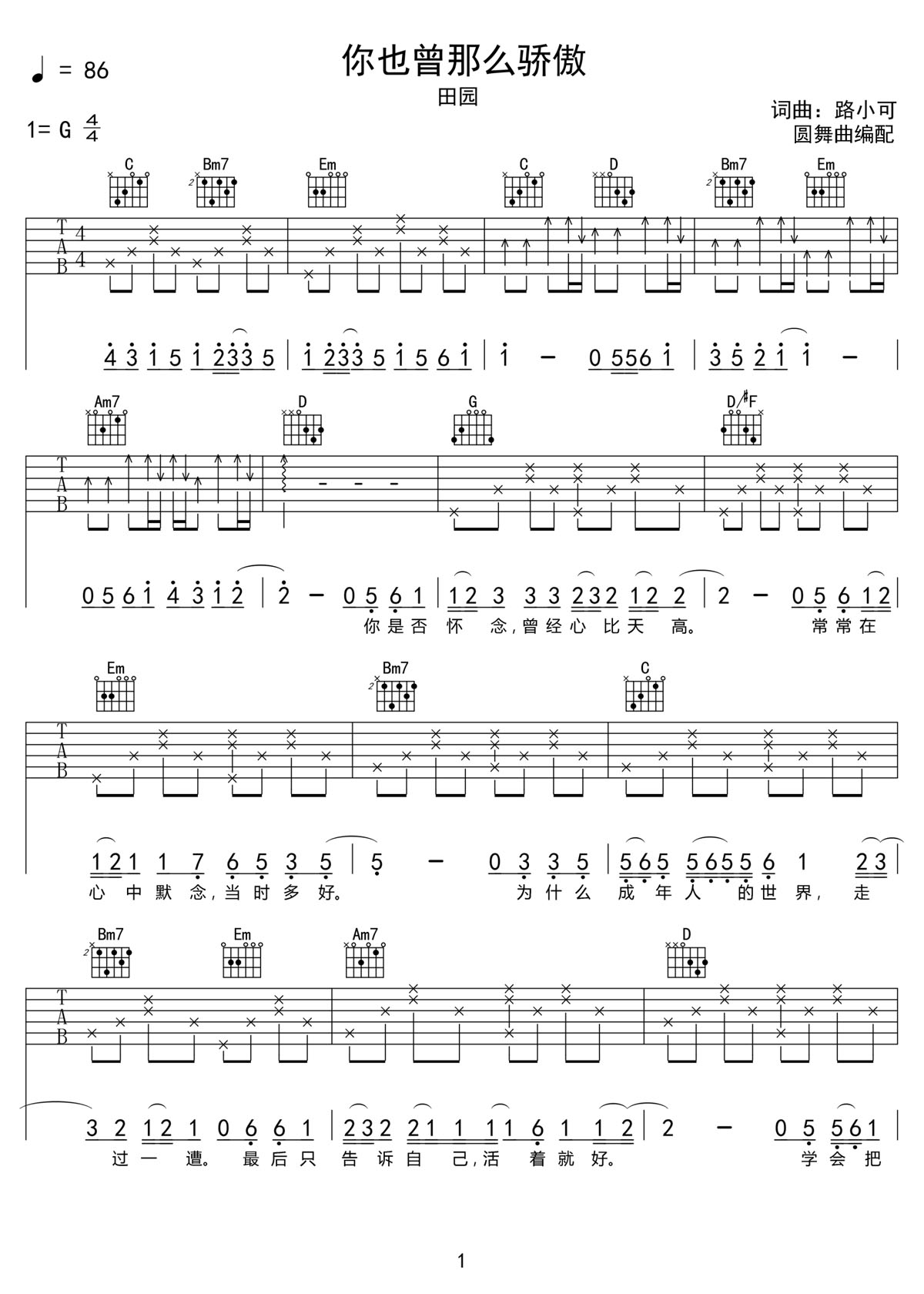 你也曾那么骄傲吉他谱1-田园