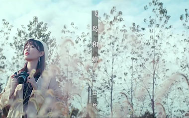 飞鸟和蝉吉他谱_任然_G调原版弹唱谱