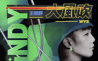 大风吹吉他谱_王赫野/刘惜君_G调扫弦版