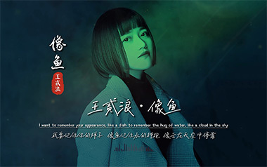 像鱼吉他谱_王贰浪_C调指法原版弹唱谱