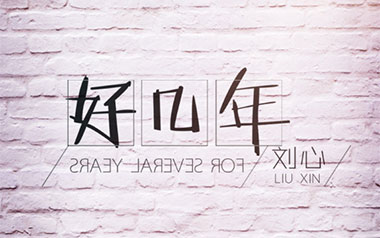 好几年吉他谱_刘心_C调原版弹唱谱